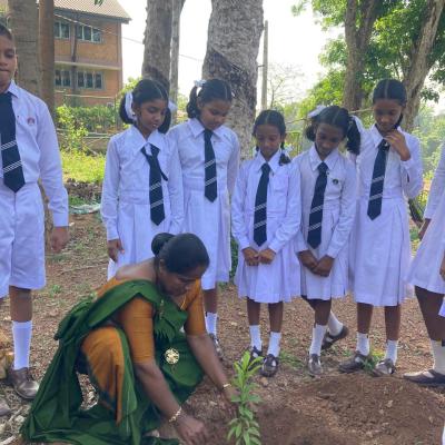 439433586 950658623517515 4910430572061528872 N