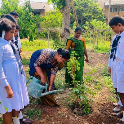 439451804 950658460184198 5774765168638192699 N