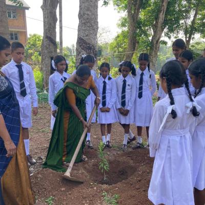 440445490 950658523517525 7480031724787041611 N