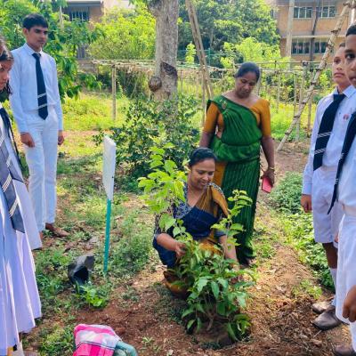 The first day of school after the New Year holiday