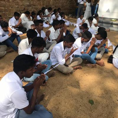 434754991 942216474361730 2084550709844735880 N