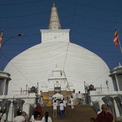 437133622 942216707695040 4052119667980238372 N